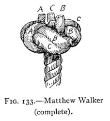 Using a Matthew Walker Knot as a Stopper in a Rope