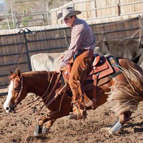 Weaver Leather's Saddle Pads