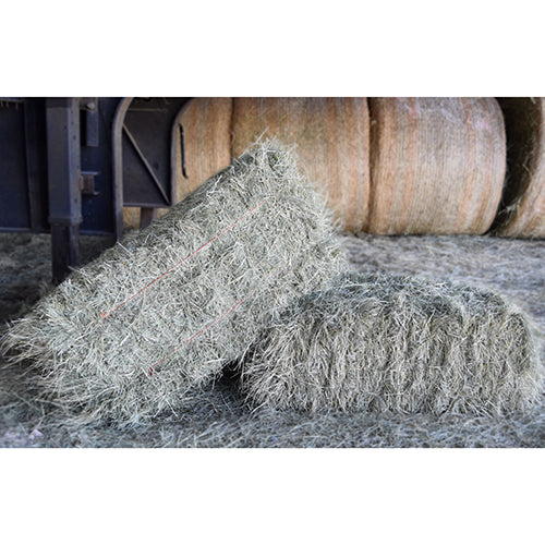 Hay and Straw as Bedding for Outdoor Animals