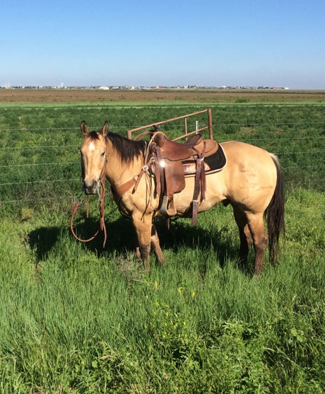 Leather Care Tips for Muddy Gear