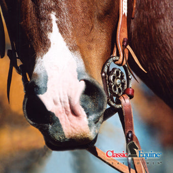 Curb straps on Snaffle Bits - What do they do?