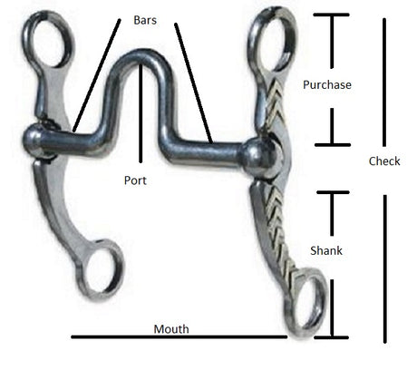 Parts Of A Western Curb Bit