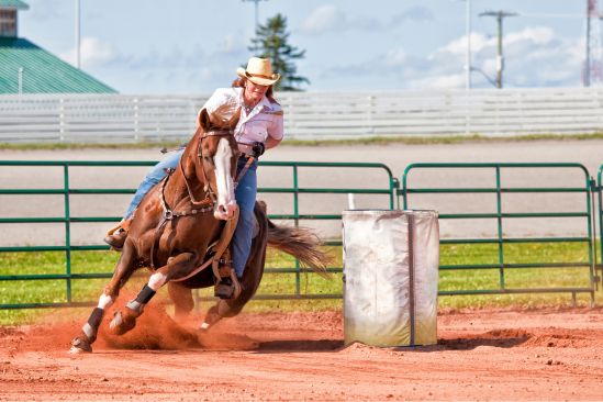 What You Should Know Before You Start Barrel Racing