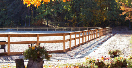 An empty horse arena with a wooden fence, surrounded by small bushes and large trees with colorful leaves.