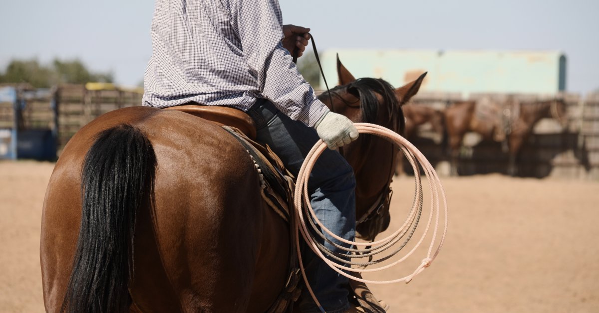 A man wearing a patterned shirt rides a brown horse with a black tail. He's holding a rope in his right hand.