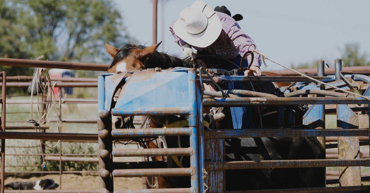 A cowboy wearing a plaid shirt and white hat sits on a horse inside of a chute. The sky and trees are visible behind him.