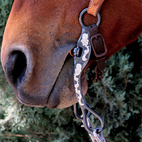 How a Curb Chain Works on Your Horse