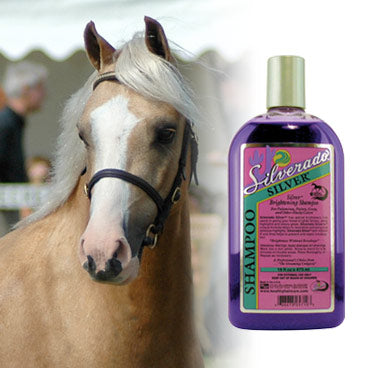 Purple Shampoos