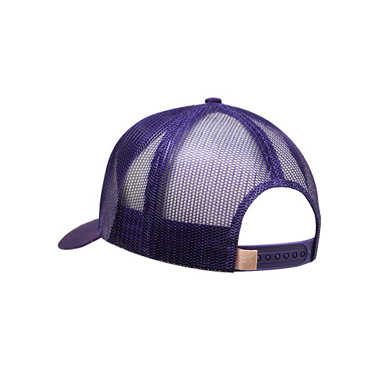 RopeSmart Purple Aztec Pattern Cap