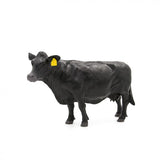 Little Buster Black Angus Cow