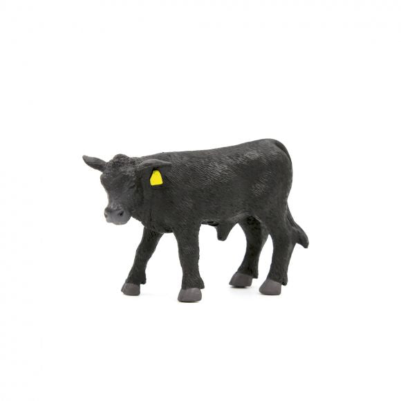 Little Buster Black Angus Calf