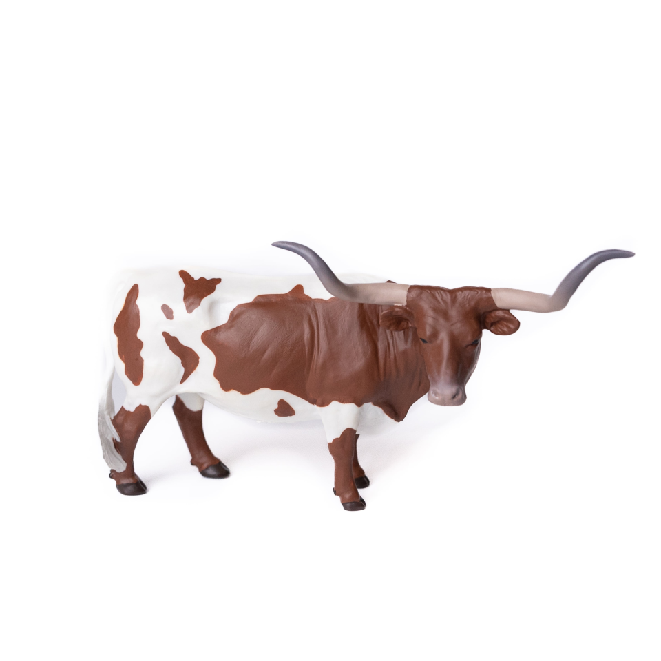 Little Buster Red and White Texas Longhorn Steer