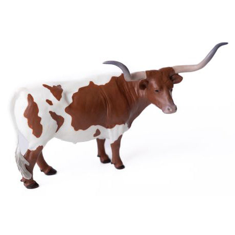 Little Buster Red and White Texas Longhorn Steer