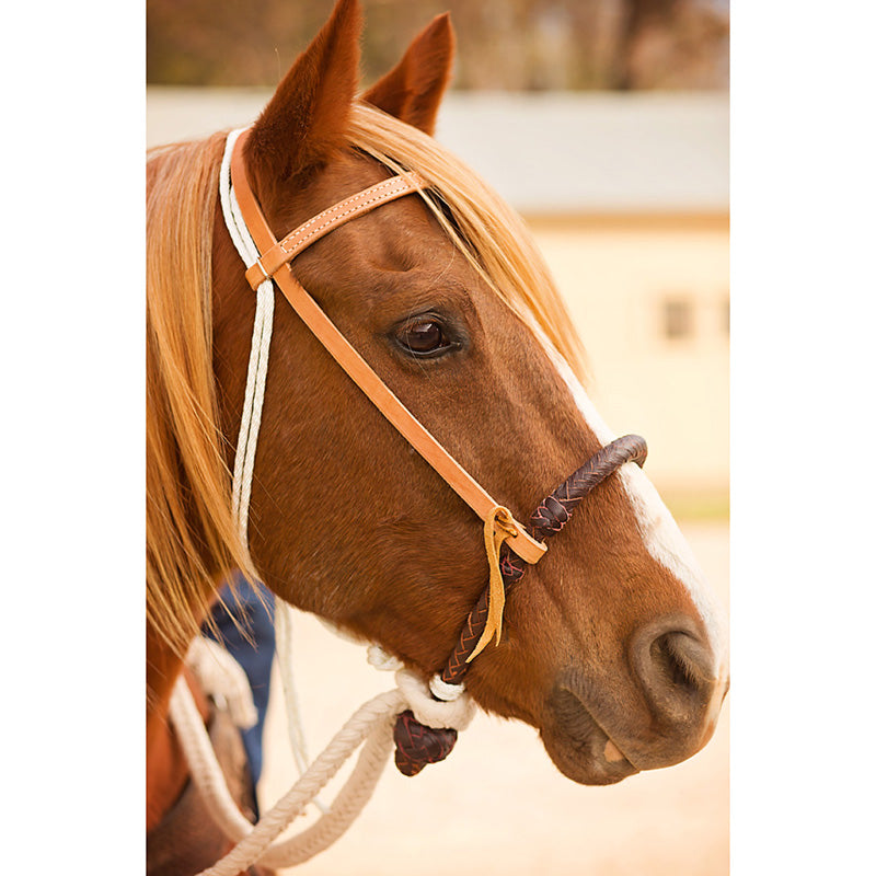 Oxbow Tack Complete Breaking Hackamore Set