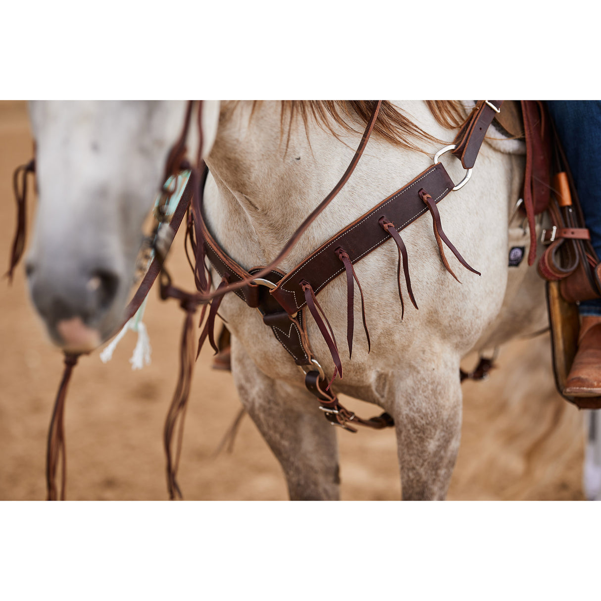 Cowboy Tack 2" Chocolate Harness Leather Breast Collar w/ Latigo Strings