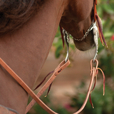 Martin Saddlery 5/8" Harness Leather Split Reins