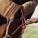 Martin Saddlery Tiedown Hobble