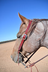 Coolhorse Leather Working Cowboy 1" Split Ear Headstall- Handmade in Amarillo, TX