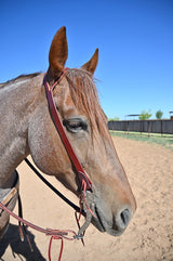 Coolhorse Leather Working Cowboy 1" Split Ear Headstall- Handmade in Amarillo, TX