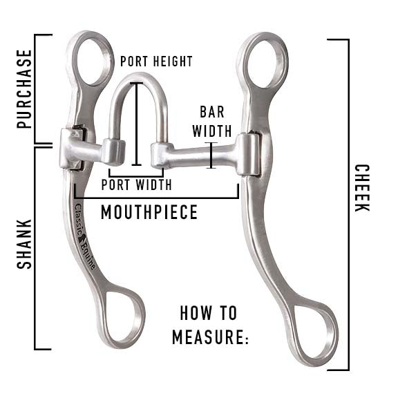 Classic Equine Rasp Shank Performance Short Correction Bit