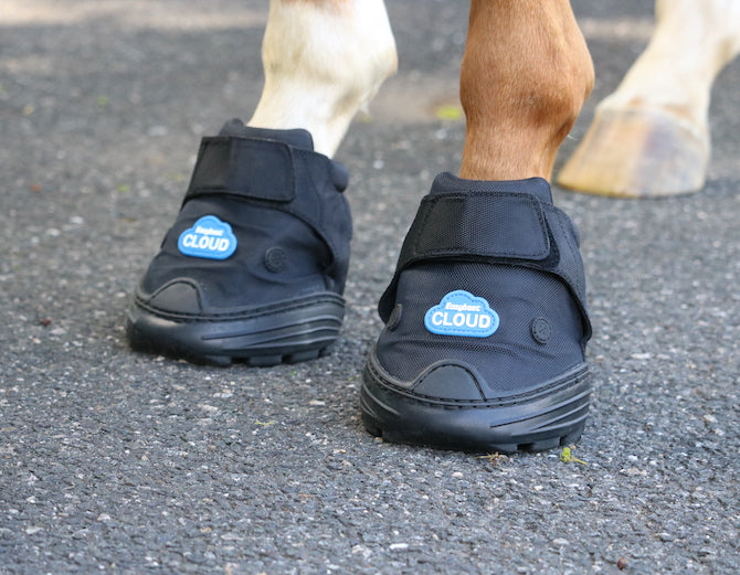 EasyCare Inc. Cloud Hoof Boot- Single