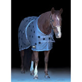 XLR8 Equine Velocity Ceramic and Magnetic Sheet