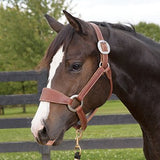 Weaver Leather Bronc Halter