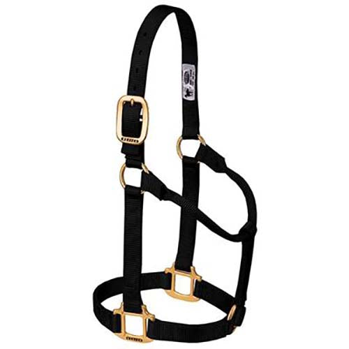 Weaver Leather Black Non-Adjustable Nylon Halter 1"- Small Horse