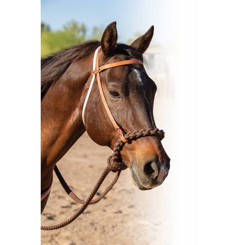 Professional's Choice Loping Hackamore