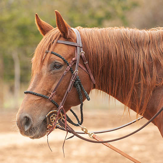 Martin Saddlery Bonnet Tiedown