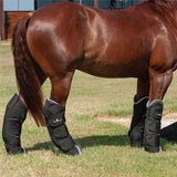 Classic Equine Shipping Boots- Set of 4