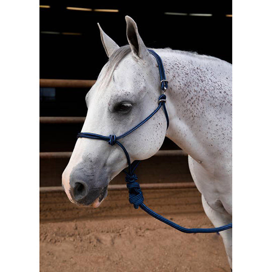 Professional's Choice Easy On Rope Halter with Lead- Royal/Black