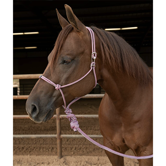 Professional's Choice Easy On Rope Halter with Lead Rope- Wine/Silver