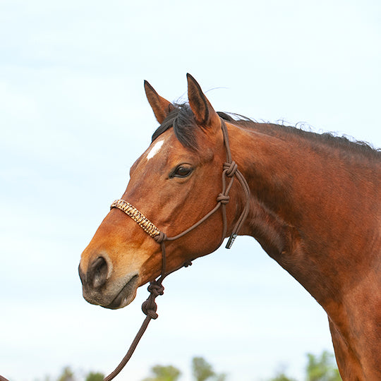 Cashel Braided Rope Nose Halter with Lead Rope- Brown Camo