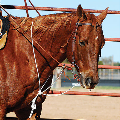 Martin Saddlery String Martingale